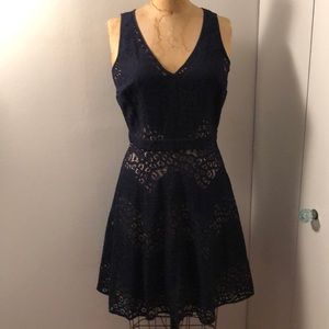The Limited lace dress
